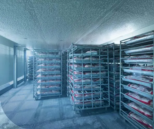 บริการคลังสินค้าห้องเย็นให้เช่า ได้มาตรฐานระดับสากล รองรับสินค้าได้กว่า 100,000 ตัน