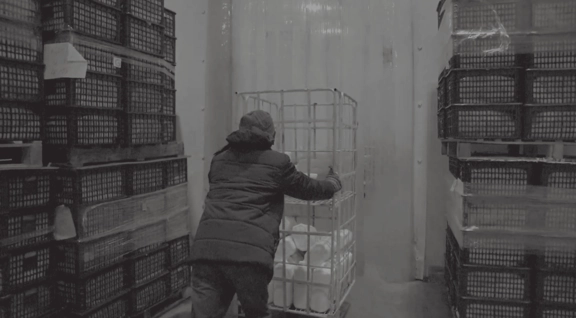 scgjwd-cambodia-cold-storage พนักงานกำลังทำงานในห้องเย็นของ SCGJWD กัมพูชา ขนย้ายสินค้า