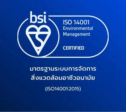 bsi